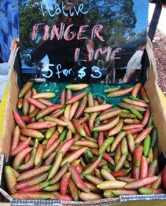 Finger Limes at Noosa Farmers Market