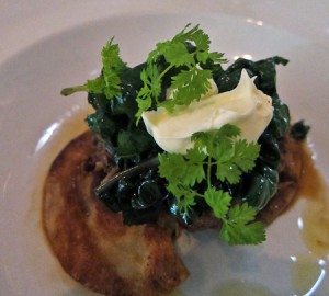 Perogies with Duck Ragout