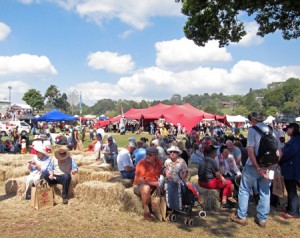 Real Food Festival Real Food Festival