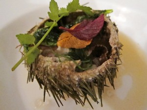 Sea urchin